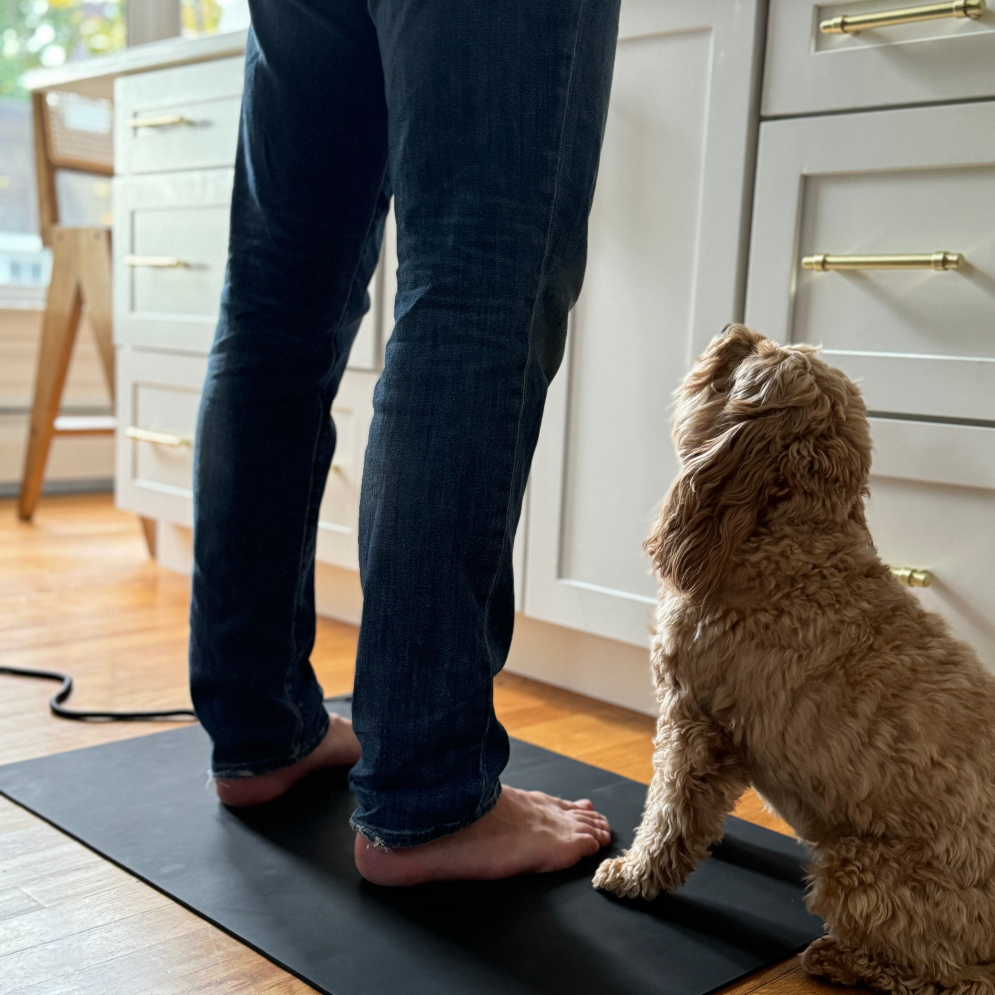 The Earthing Floor Mat In The Kitchen.Png